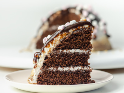 Triple Chocolate Marshmallow Cake